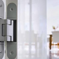Concealed hinges