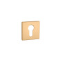 Escutcheon APRILE AS Q5S PZ — matt brass