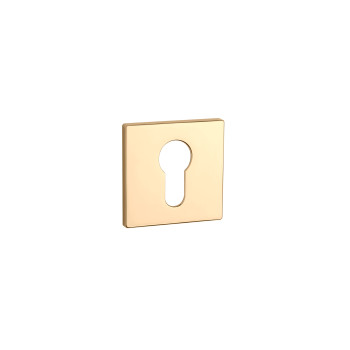 Escutcheon APRILE AS Q5S PZ — polished brass