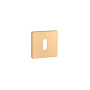 Escutcheon APRILE AS Q5S BB — matt brass