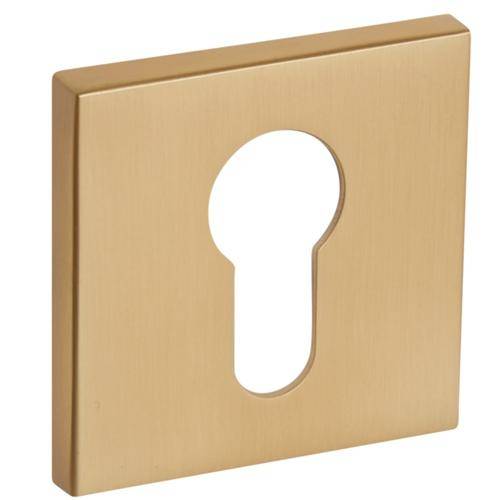 Escutcheon VDS Q6S R67F / R76 PZ — matt brass