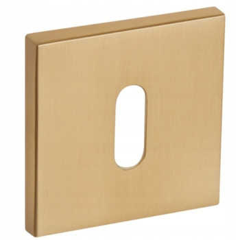 Escutcheon VDS Q6S R67F BB — matt brass