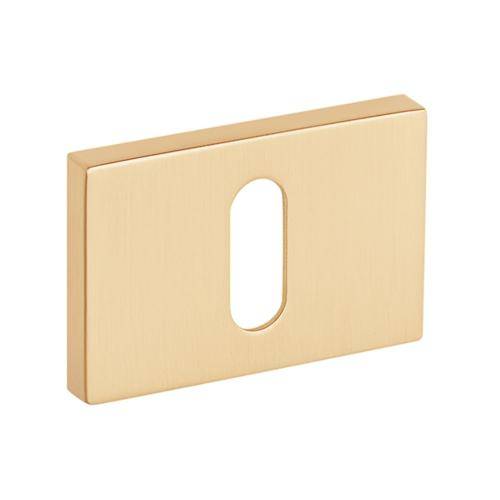 Escutcheons VDS RTQ R76 BB — matt brass