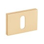 Escutcheons VDS RTQ R76 BB — matt brass